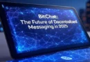 BitChat decentralized messaging interface 2025