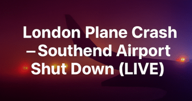 Plan crash in london